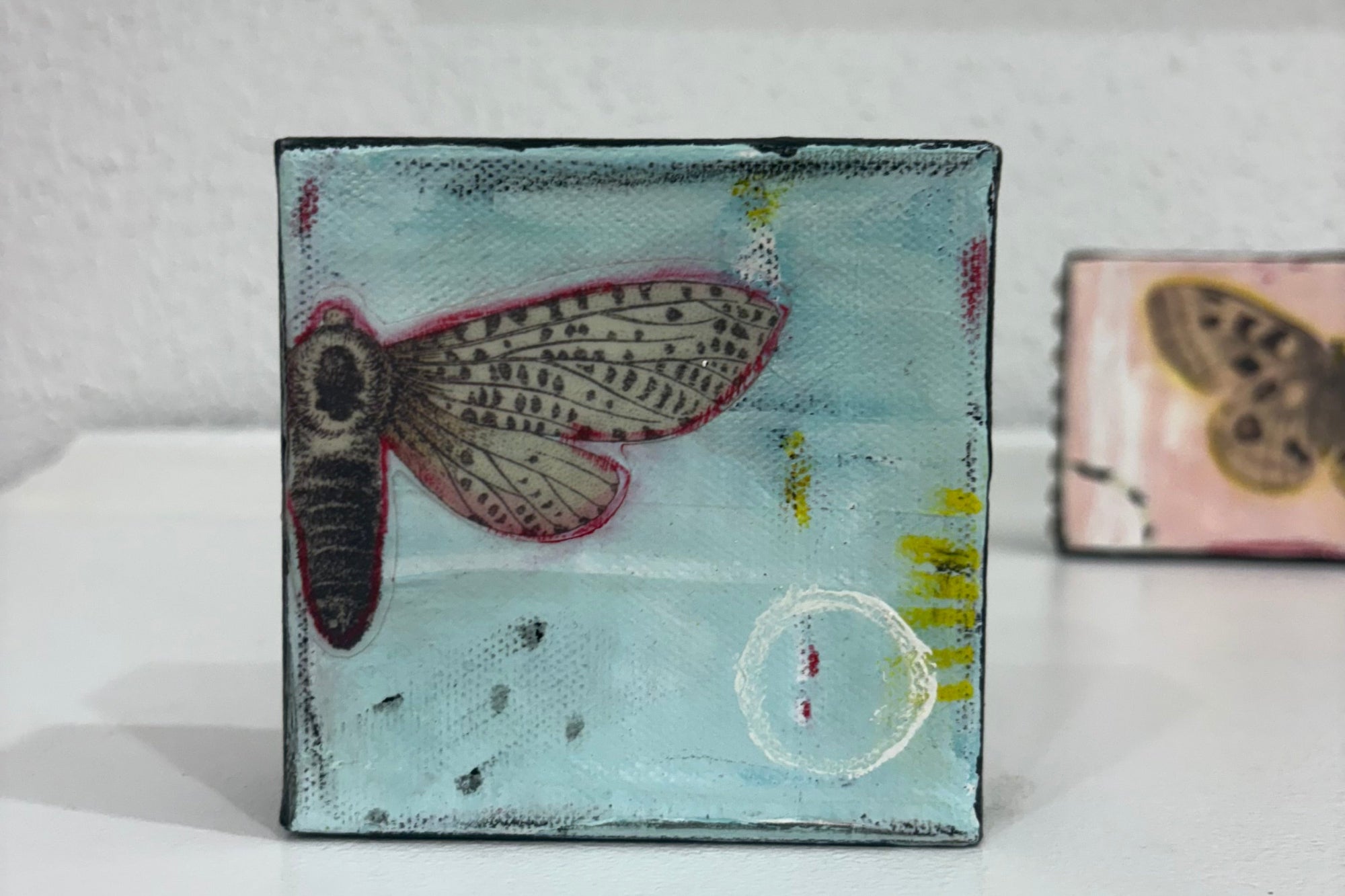 Small square painting with a moth on a light blue background
