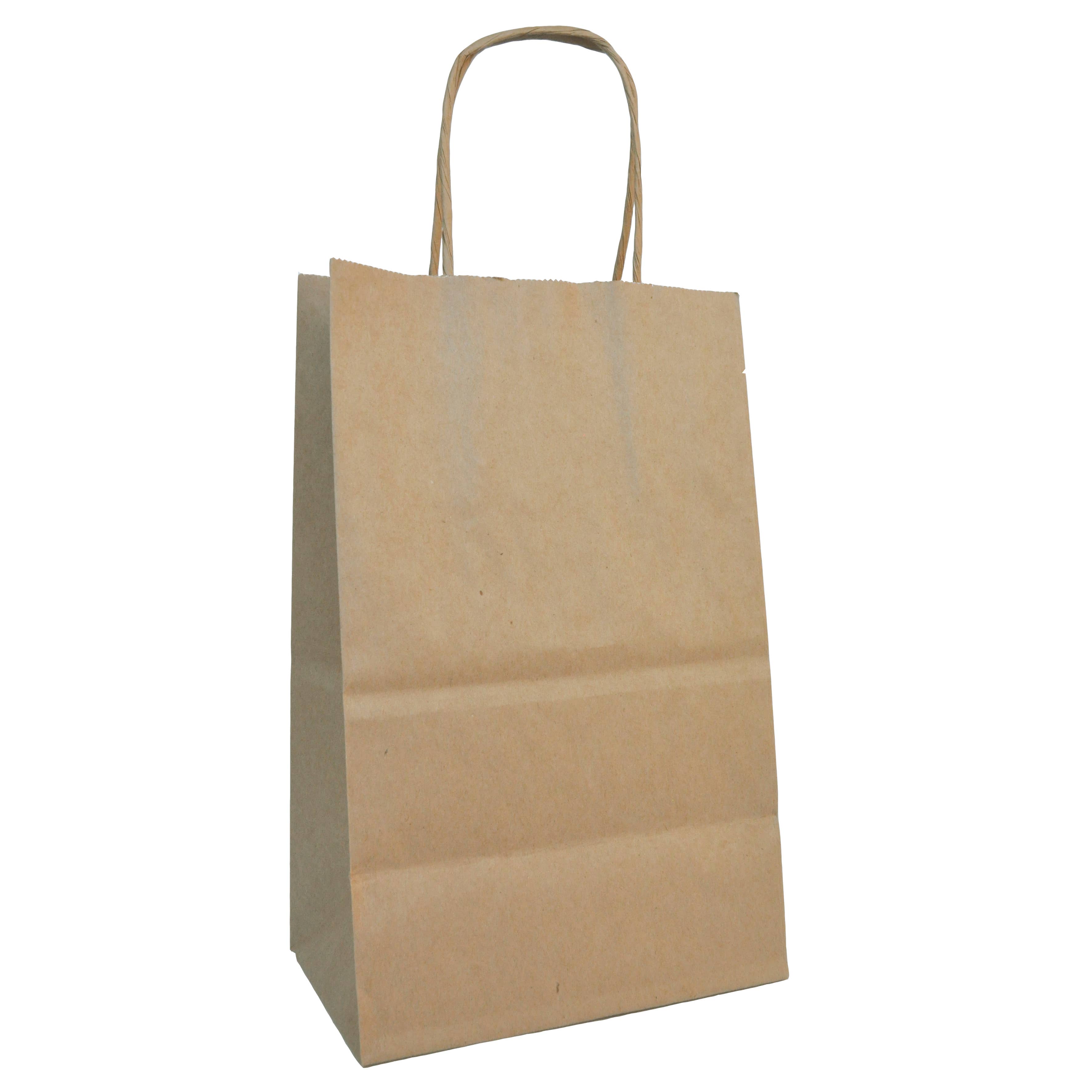 Paper Shopping Bags - 5.5 x 3.25 x 8.375" - 250 Bags