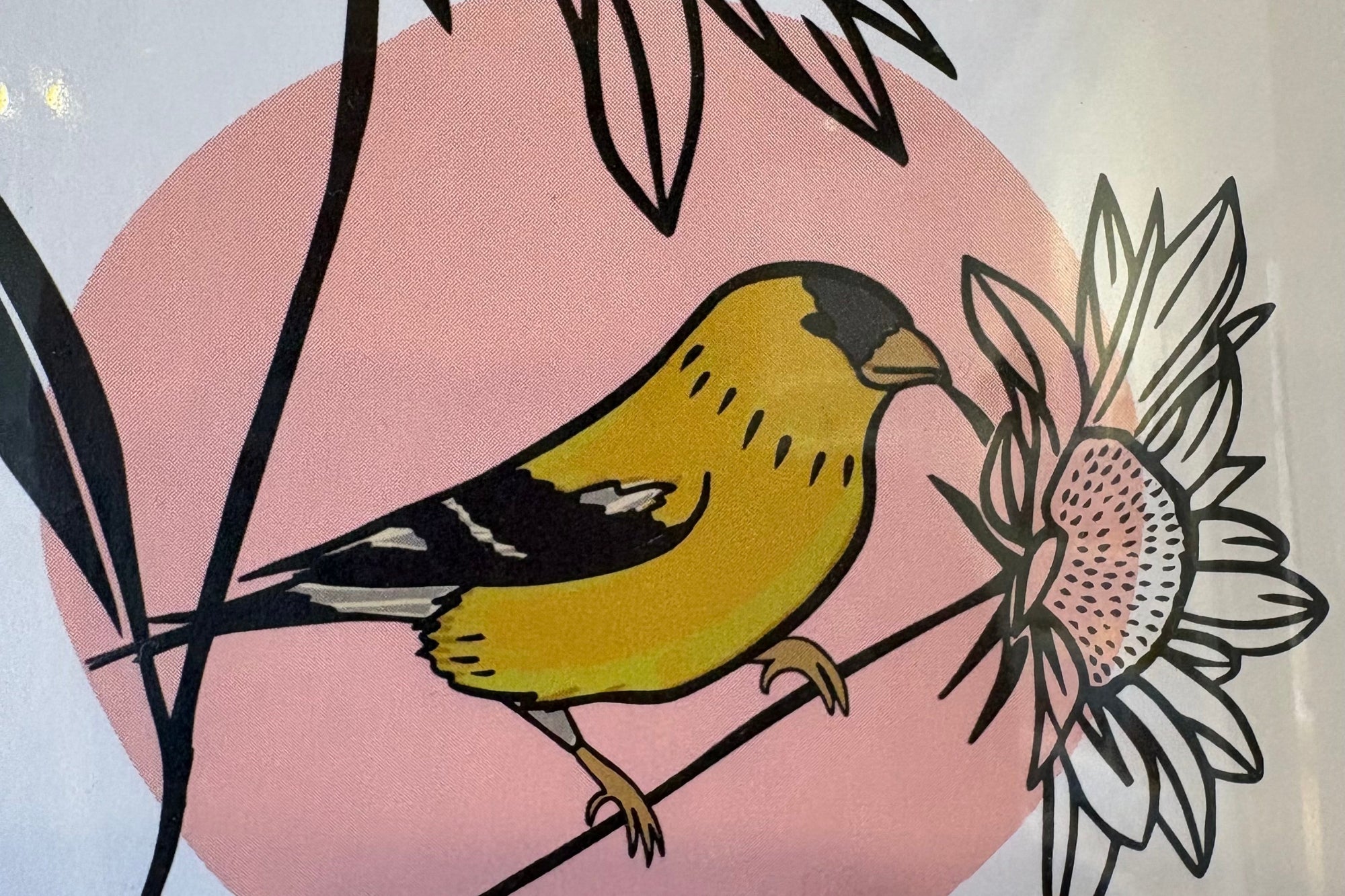 Jen Fox Greeting Cards