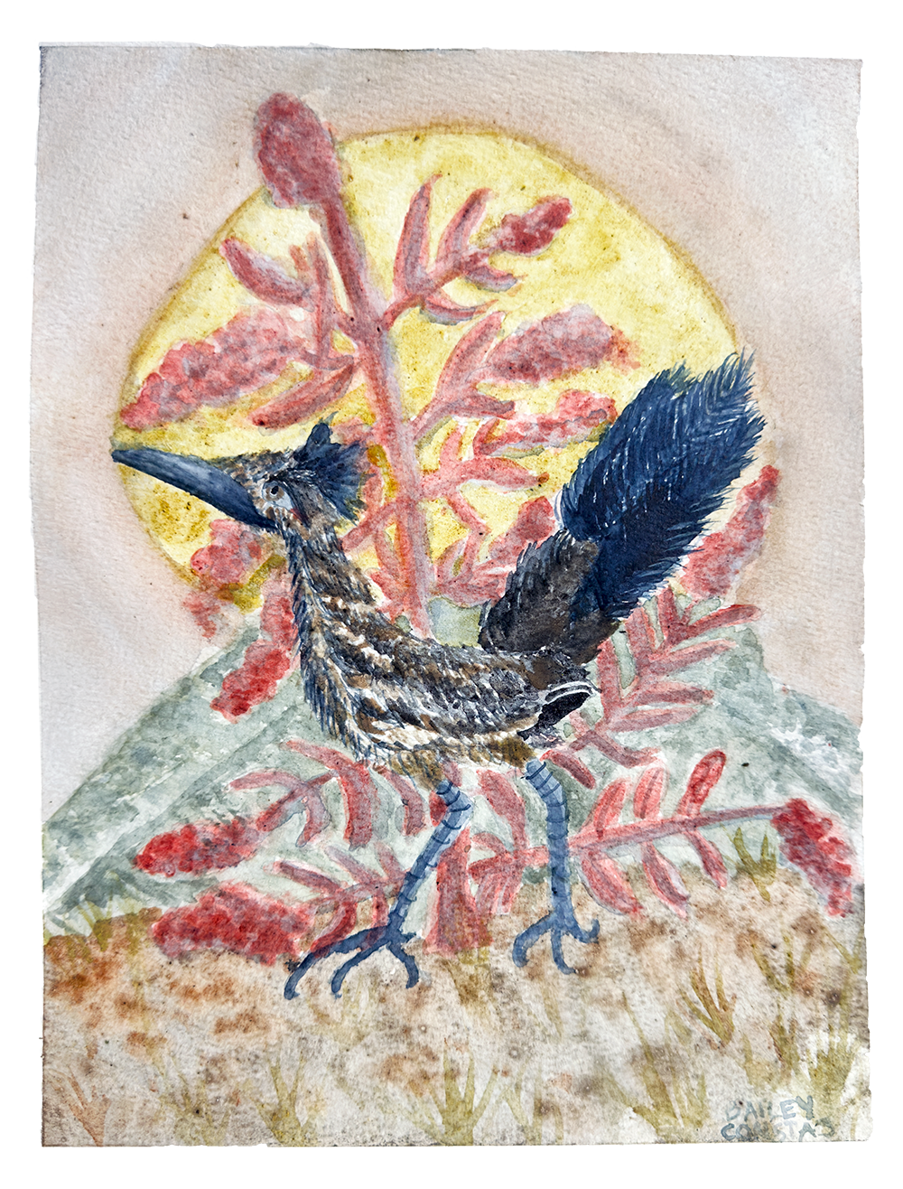 Bailey Constas Roadrunner greeting card featuring colorful illustration, perfect for sending cheerful messages.