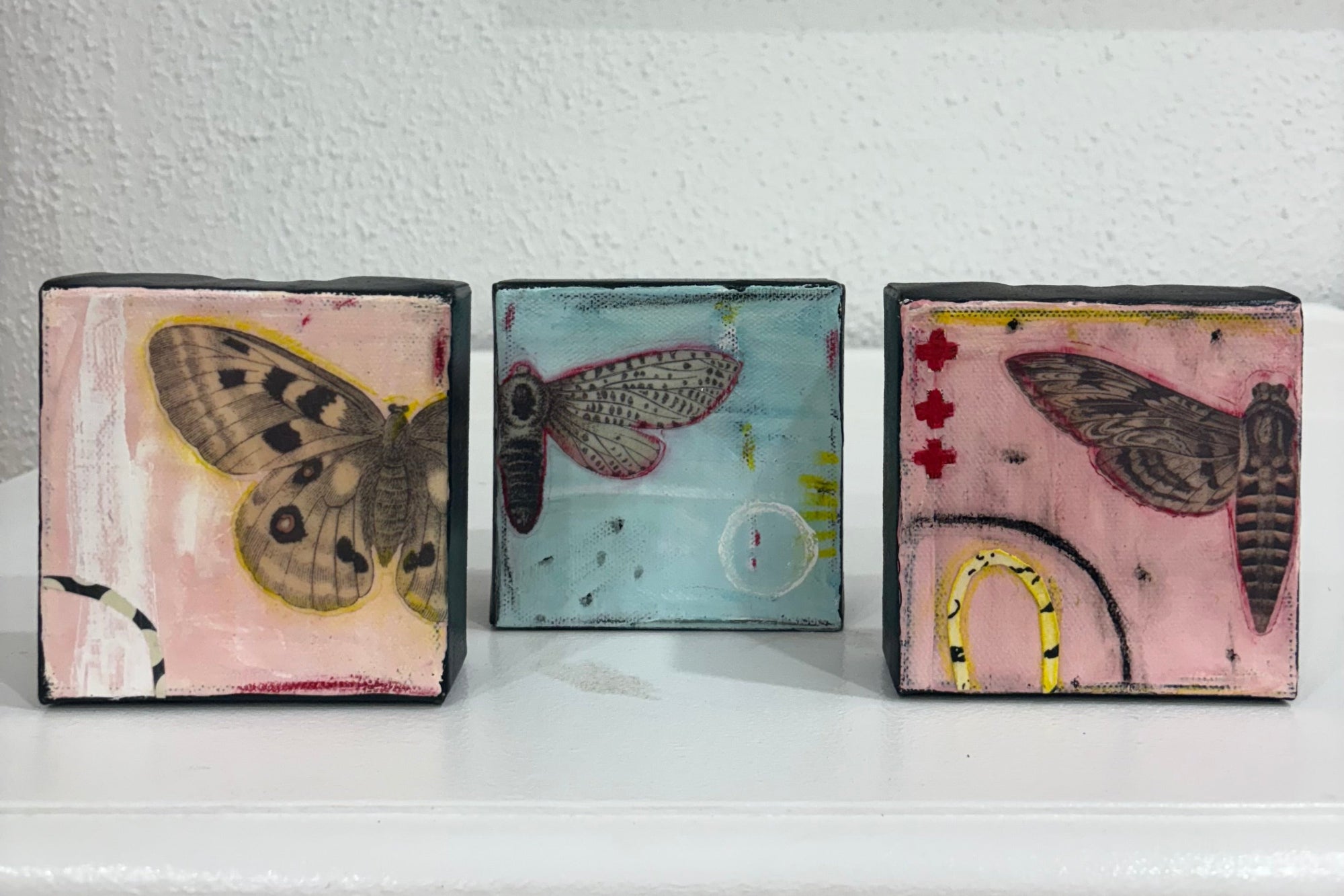 Three small rectangular art pieces with butterfly and moth designs on a white surface.