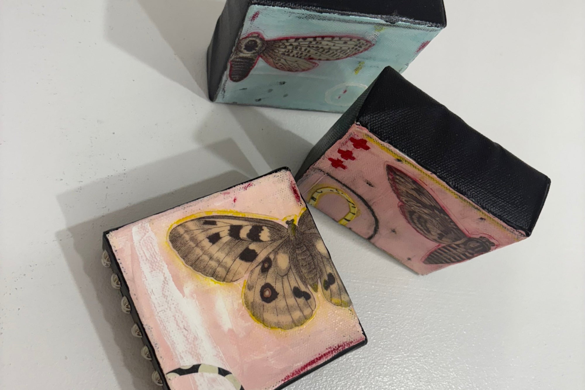 TdR Butterfly/Moth art