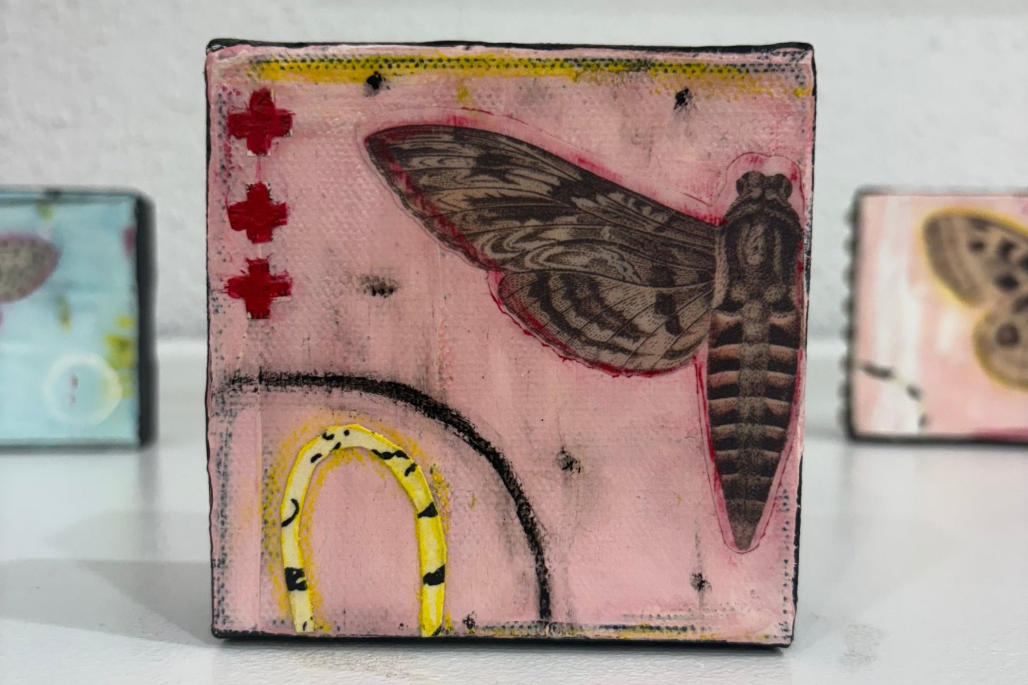 Small square artwork with a moth on a pink background