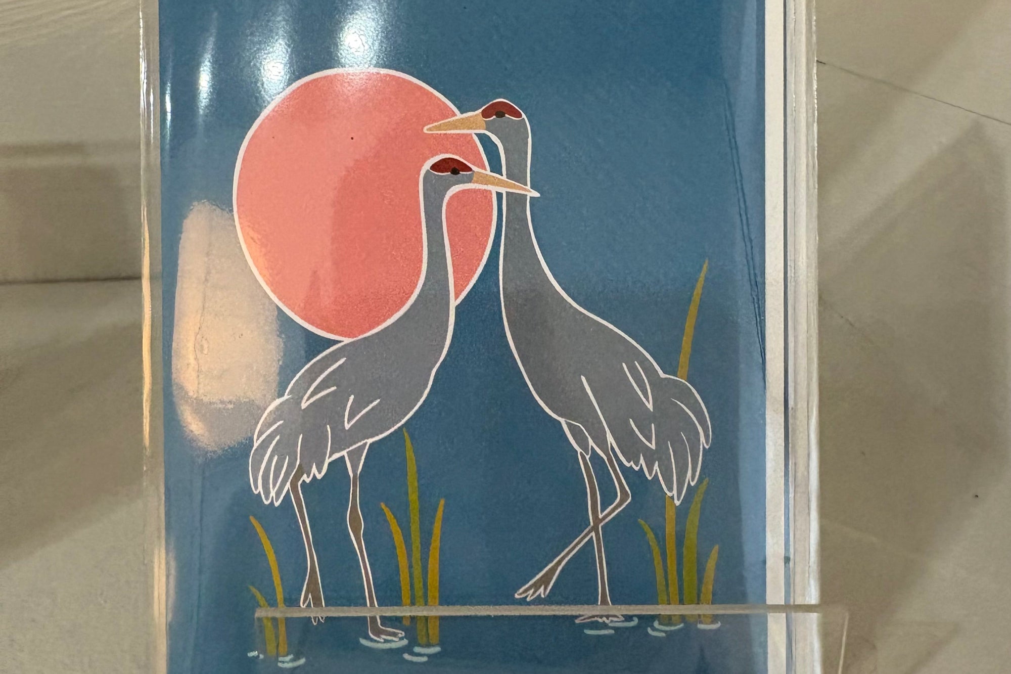 Jen Fox Greeting Cards