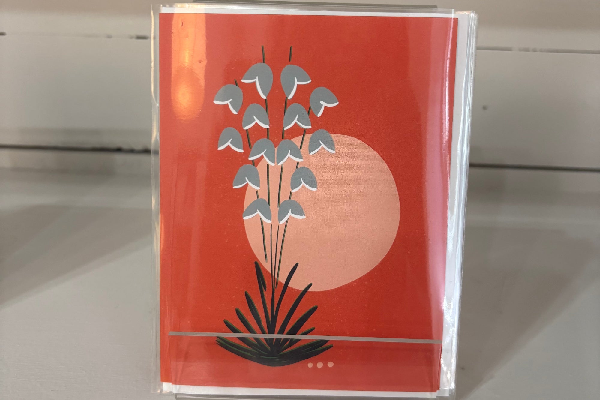 Jen Fox Greeting Cards